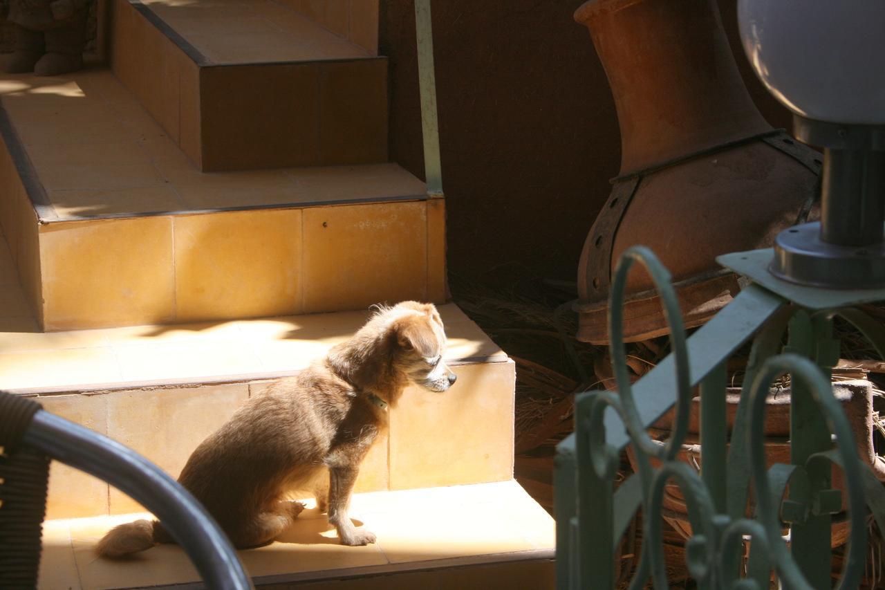 Le Temps De Vivre Bed & Breakfast Ouarzazate Ngoại thất bức ảnh